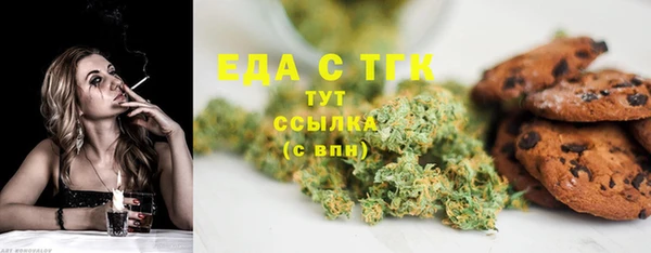 СК Вязьма