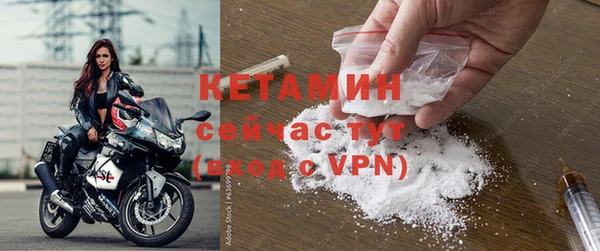 СК Вязьма
