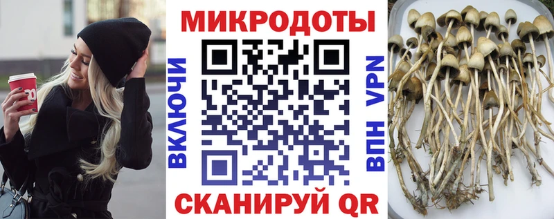 Псилоцибиновые грибы ЛСД Купить где Павлово