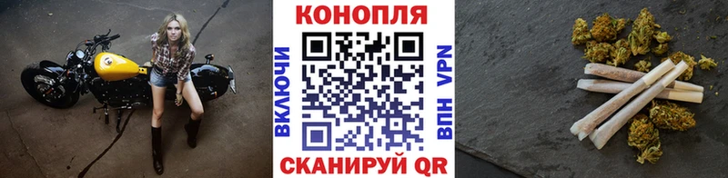 Шишки марихуана Amnesia  Купить  Павлово 